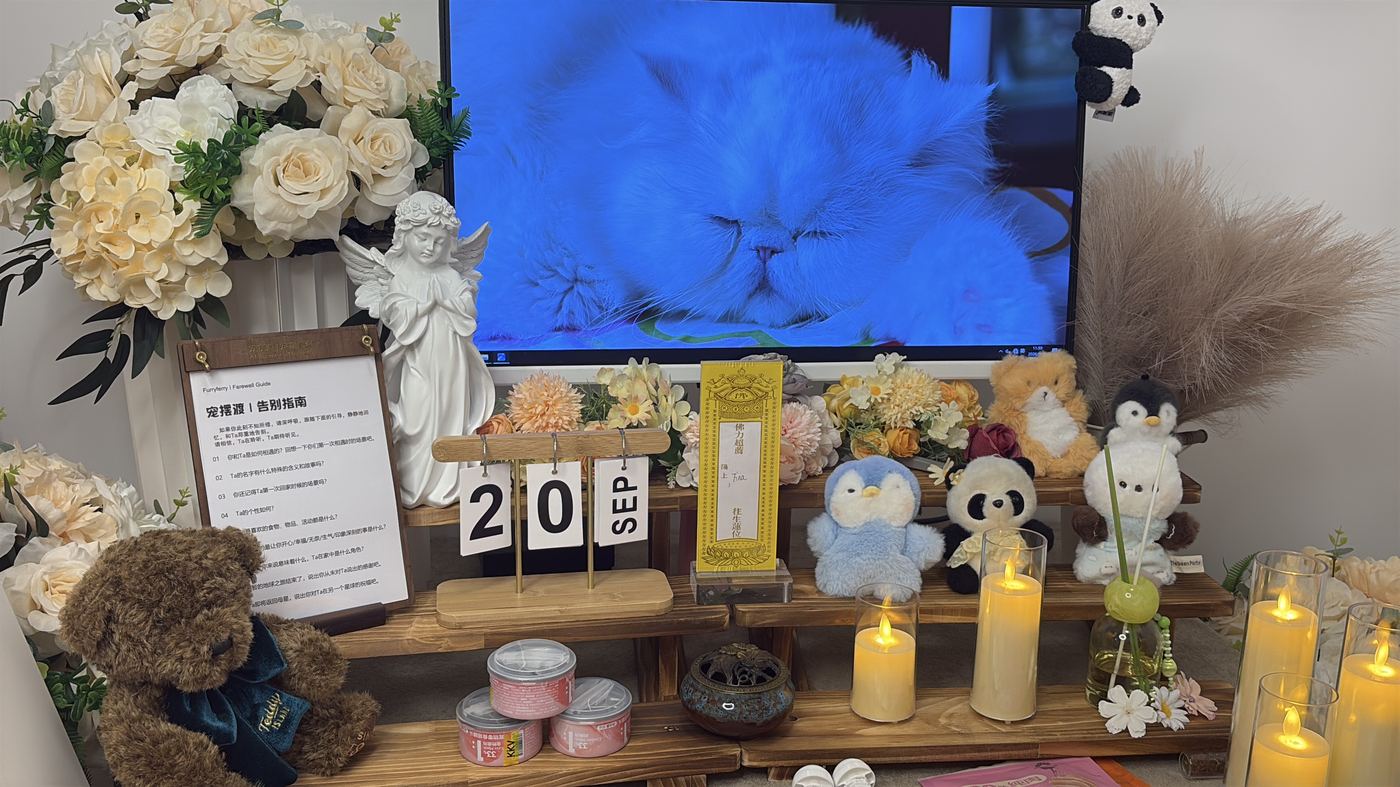 节日期间宠物殡葬服务安排：临沂春节与清明假期指南
