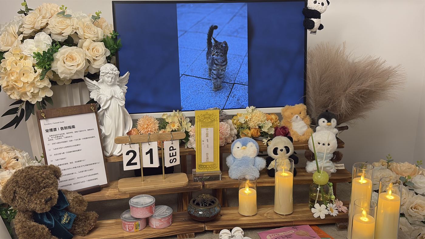 临沂宠物告别厅