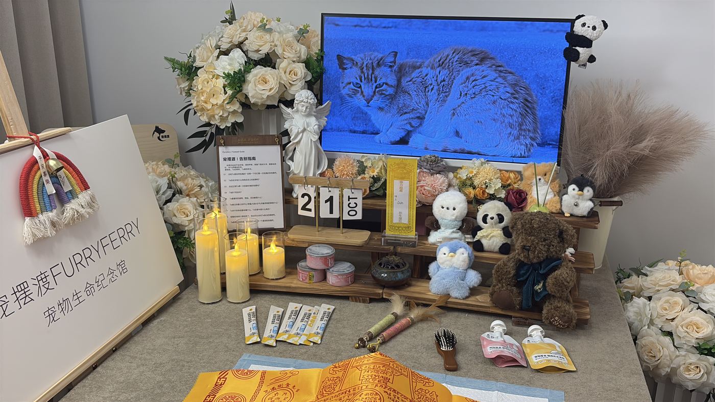 临沂宠物告别厅布置：如何给琅琊家属一个体面的告别